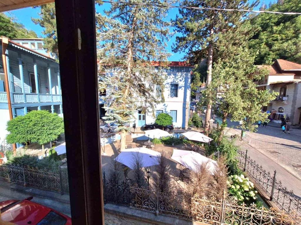 Alongside Park Borjomi - View 4