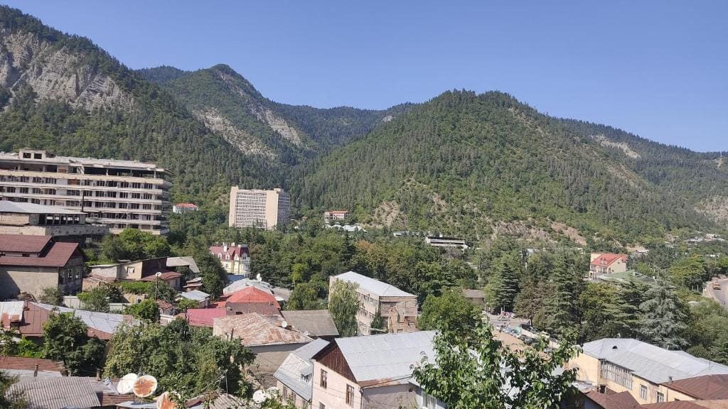 Borjomi Nest 1 - Main view
