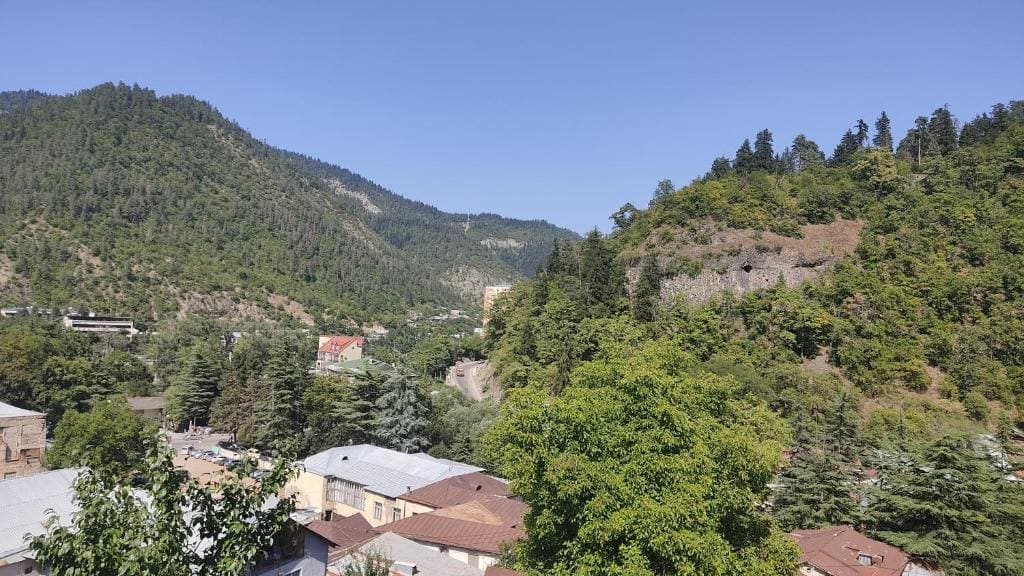 Borjomi Nest 1 - View 3