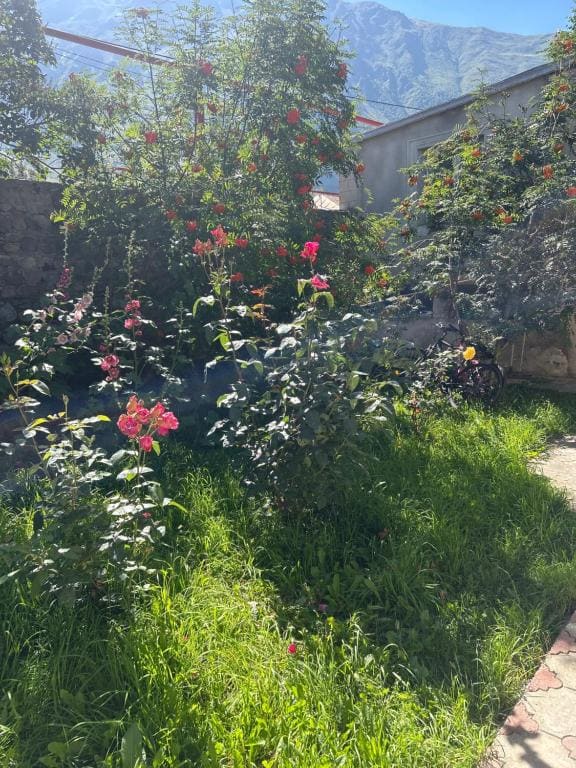 Soso Burduli's Guesthouse - Vista 2
