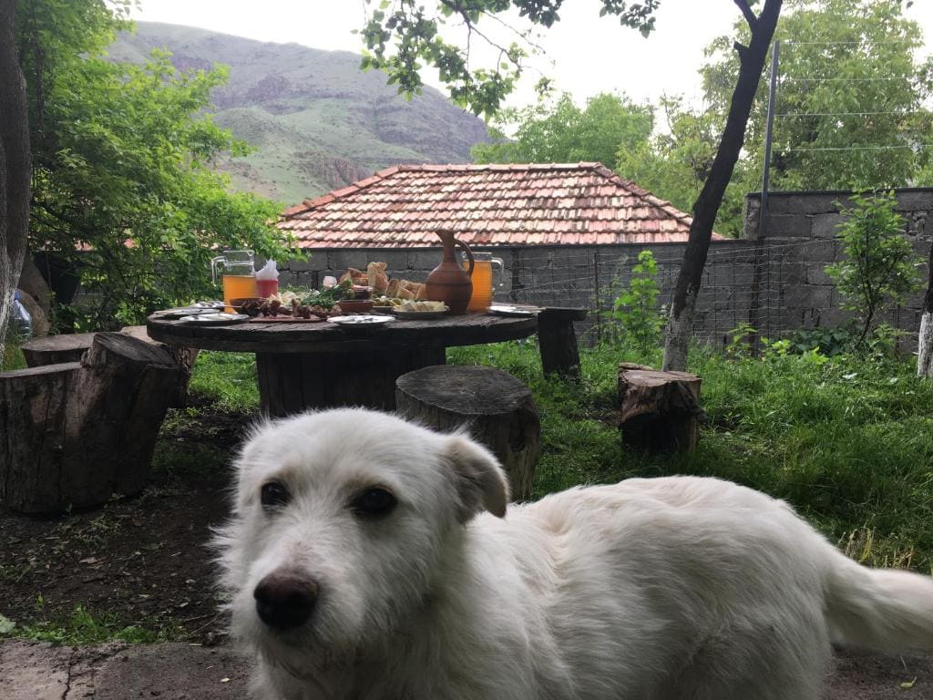 Hotel-GVALA - View 6