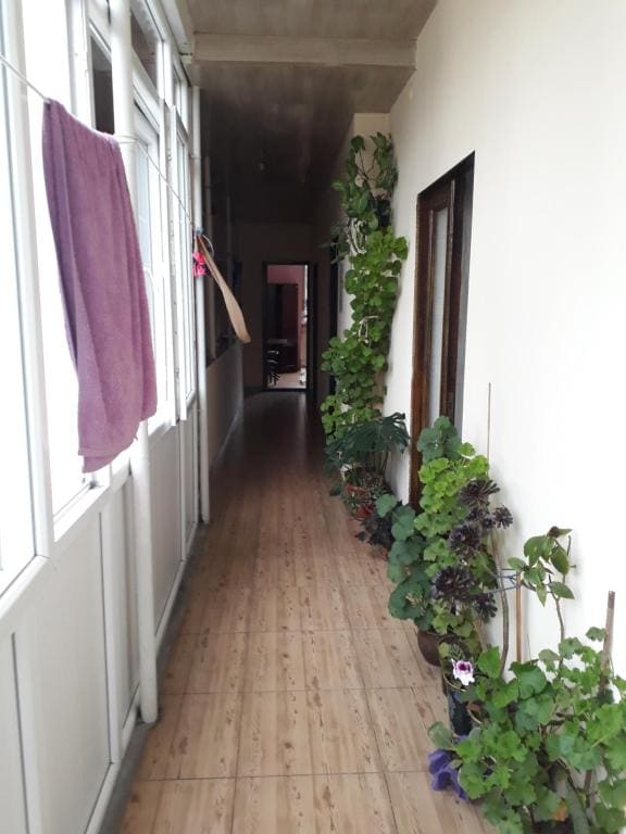 Guest House Nino — Ansicht 2