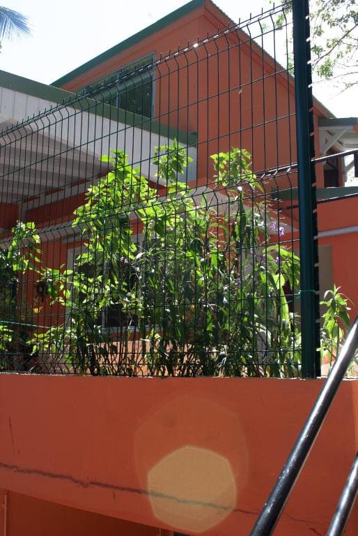 le Cocon - View 4