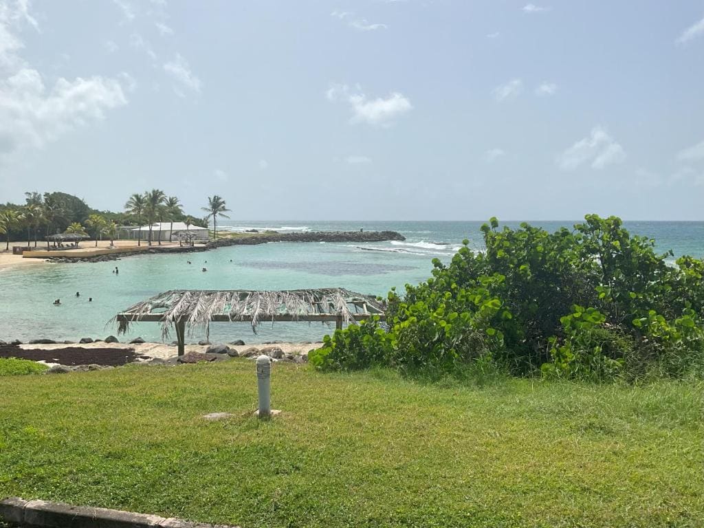 Good Mood Studio - Manganao - View 6