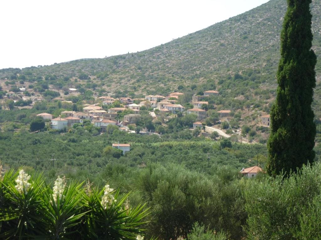 Agros - Vista 5