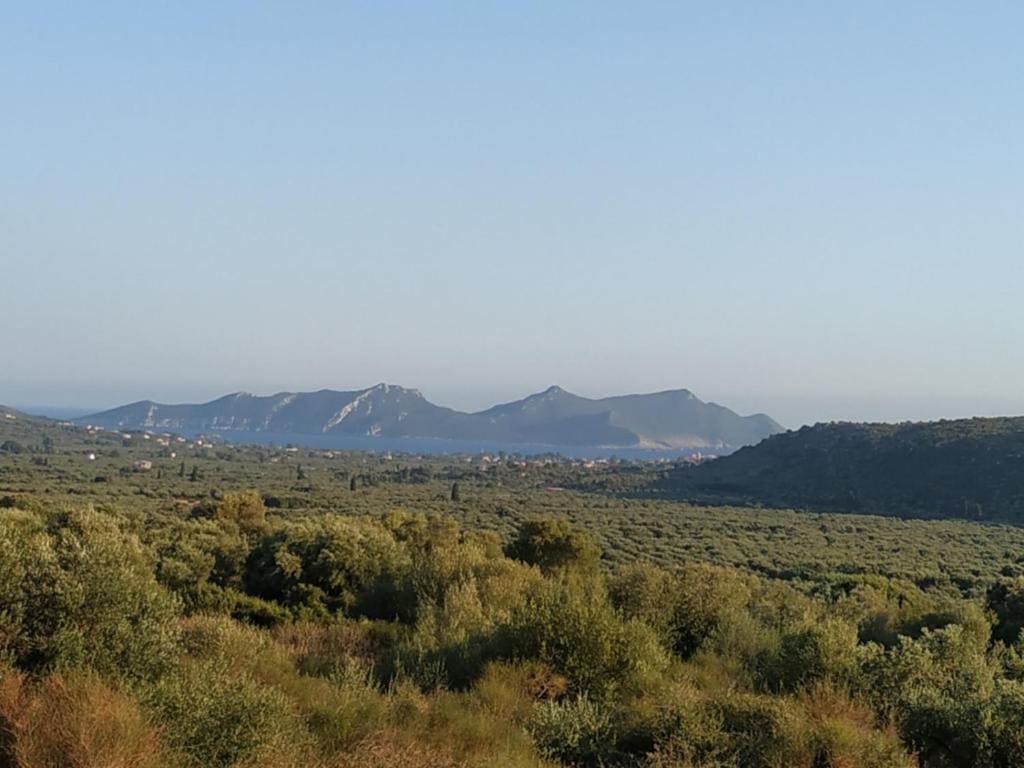 Agros - Vista 7