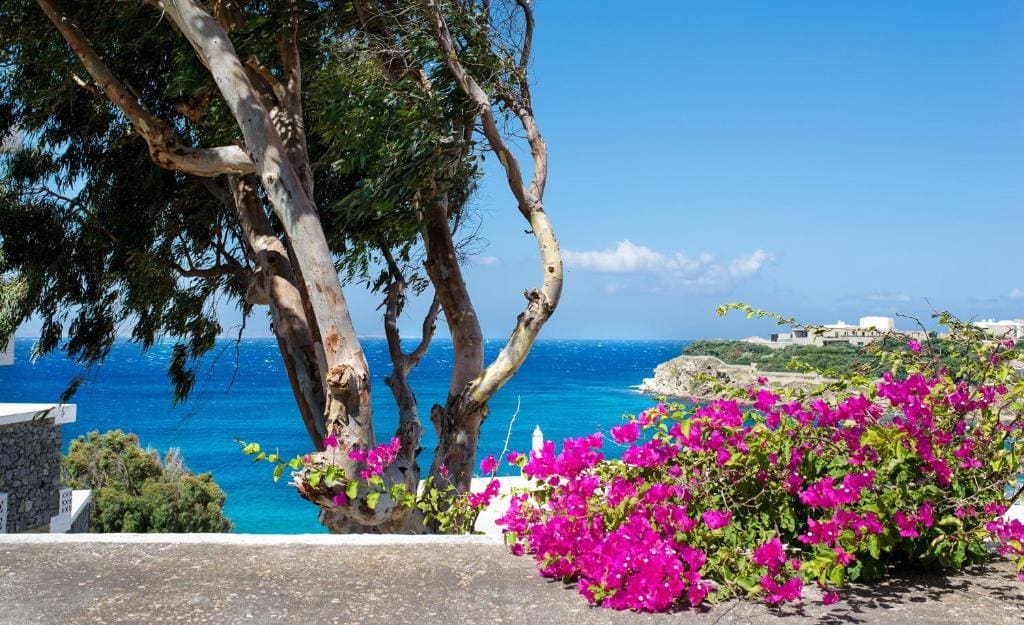 Alkistis Beach Hotel - Designed for Adults - Foto 7
