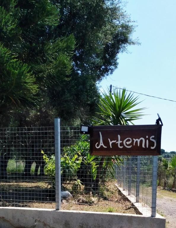 ARTEMIS - Main view
