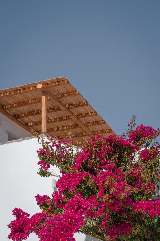 Living Blue Tinos - View 4