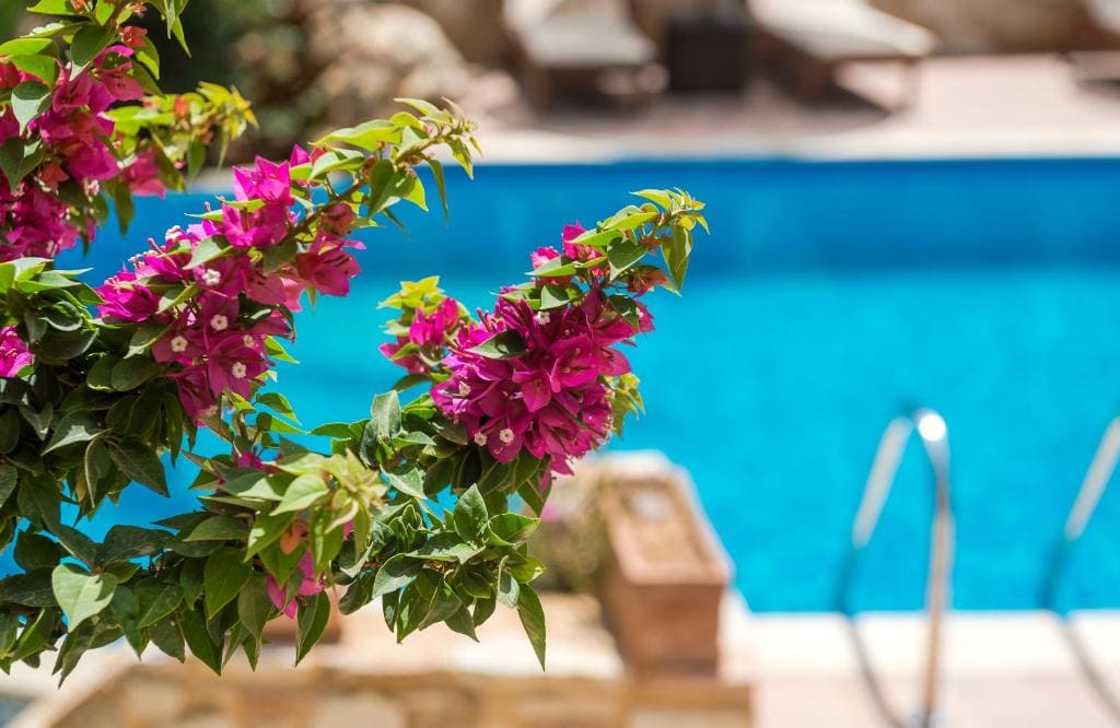 Mistral Hotel - For Solo Travelers - View 6
