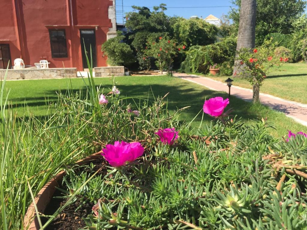 Oasis Guesthouse - व्यू 6