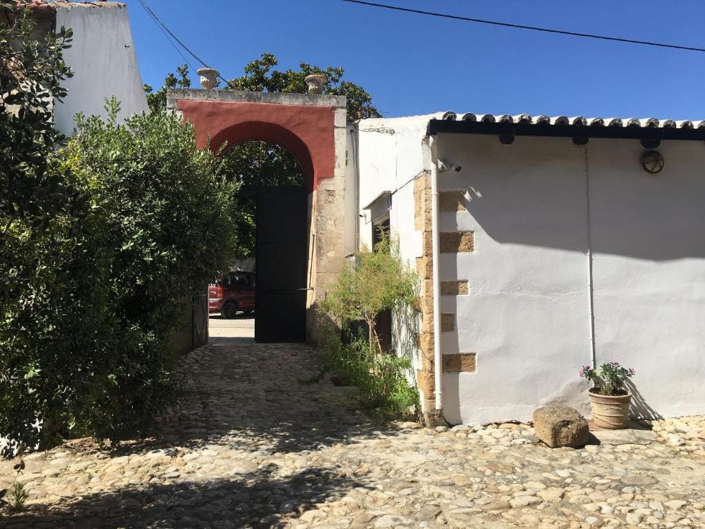 Oasis Guesthouse - व्यू 3