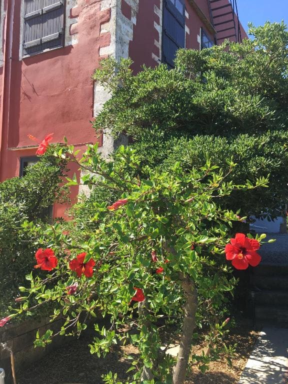 Oasis Guesthouse - व्यू 5