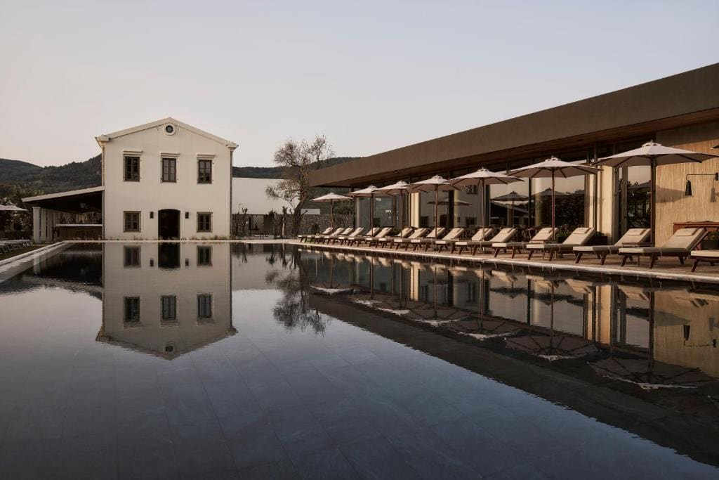 The Olivar Suites - View 6