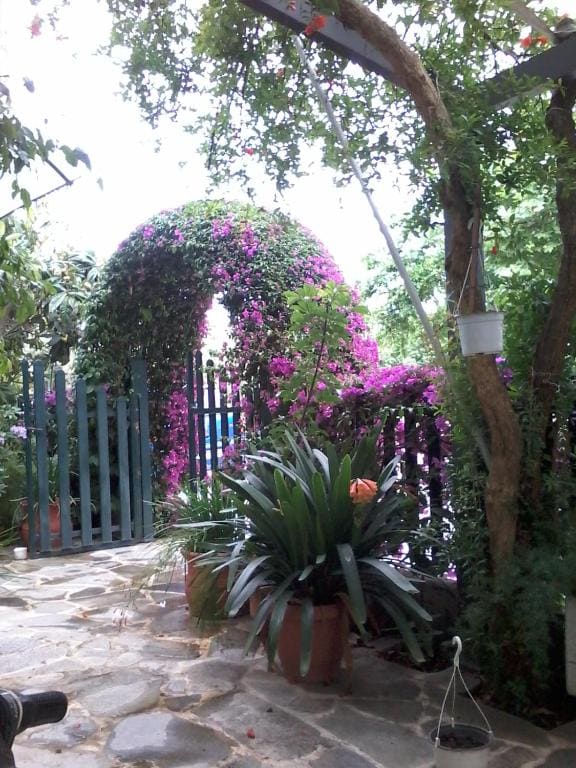 Hotel Ritsa - View 2