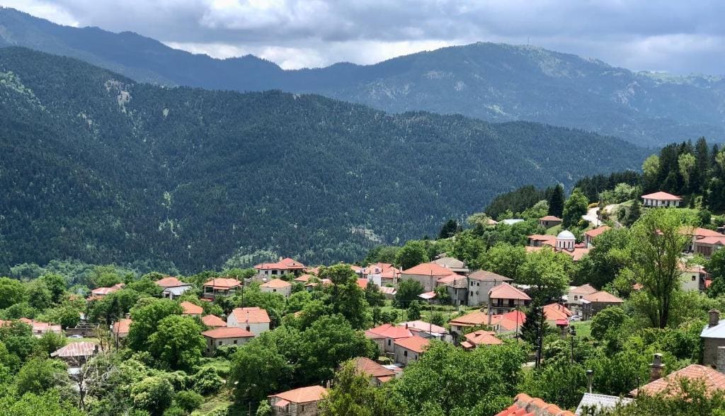 ΤΟ ΑΡΧΟΝΤΙΚΟ - View 5