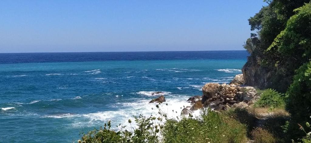 To Limanaki - View 6