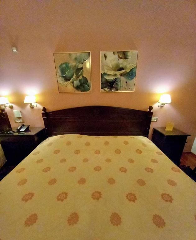 Vytina Mountain View Hotel - 写真 6
