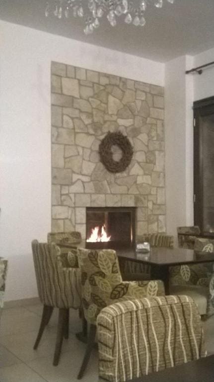 Vytina Mountain View Hotel - 写真 7