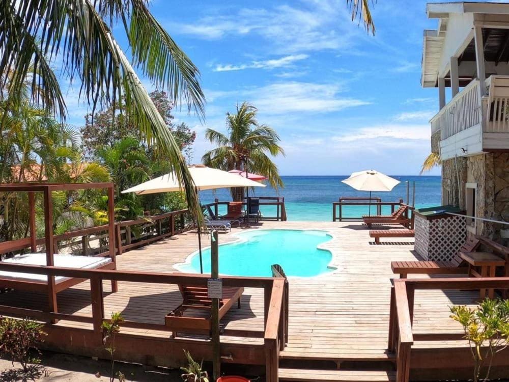 Coconut Tree West Bay - View 3