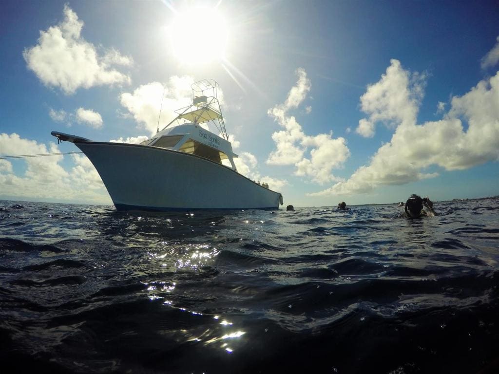 Utila Lodge — Ansicht 3