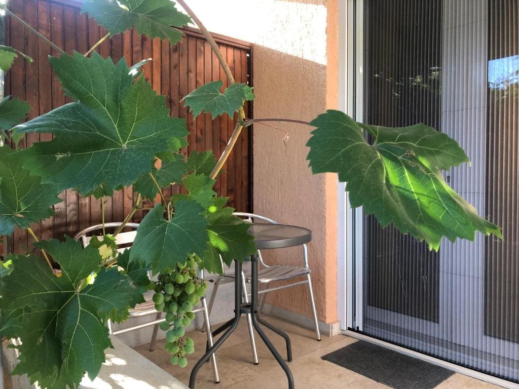 Double room with bathroom, beach close, kitchen use - View 7