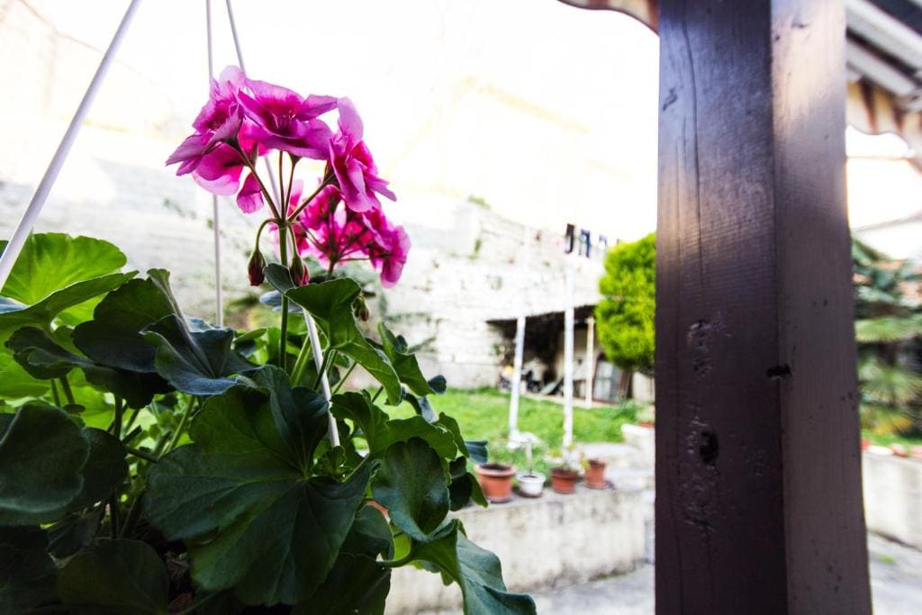 Guesthouse Natalija - View 3