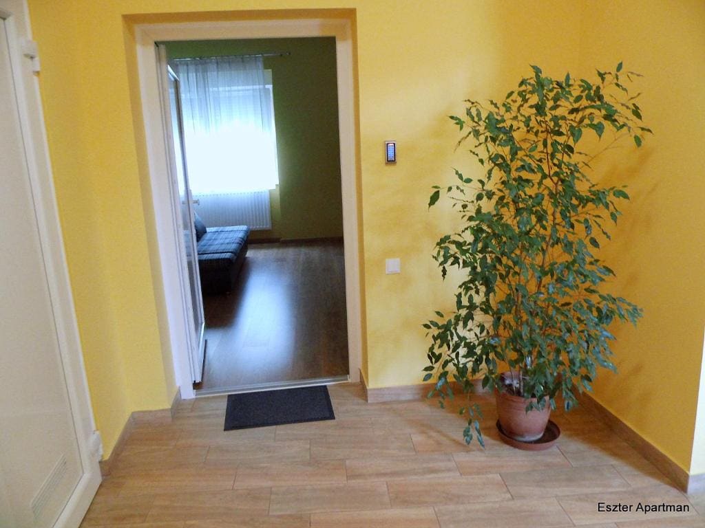 Eszter Apartman - View 5