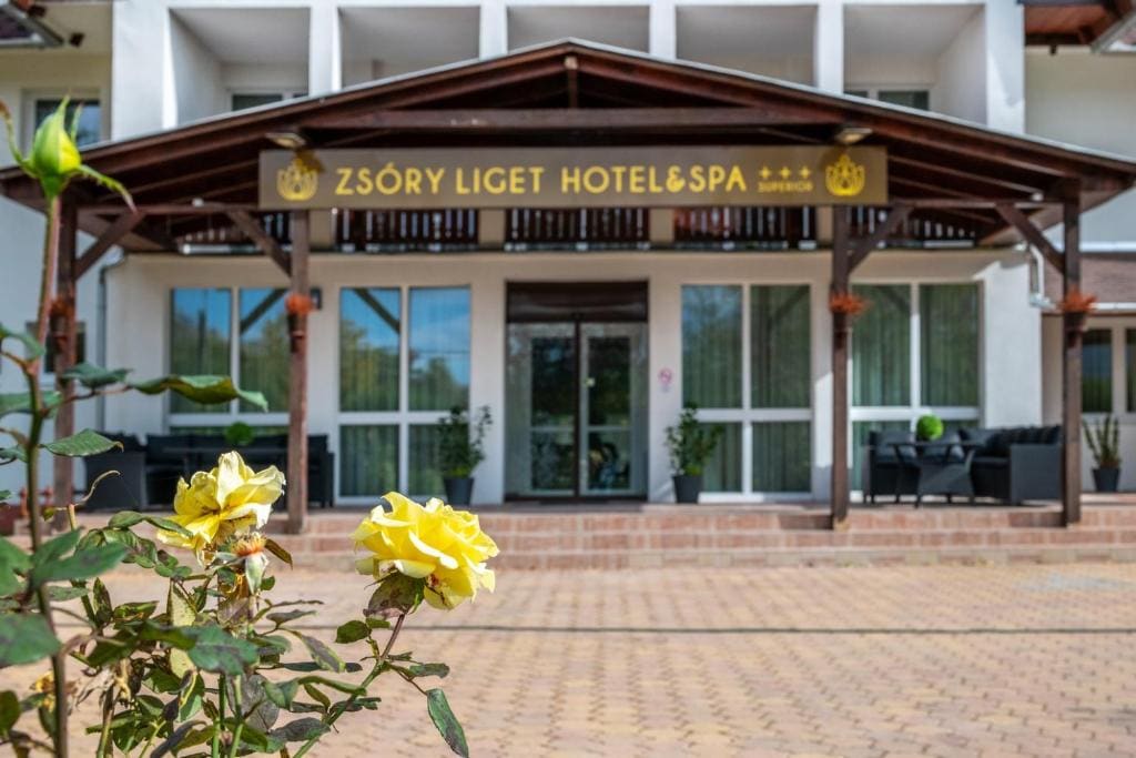 Zsóry Liget Hotel & Spa Superior - Main view