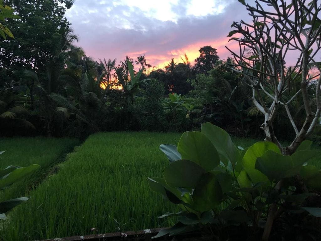 Casa Chandi Ubud - Main view