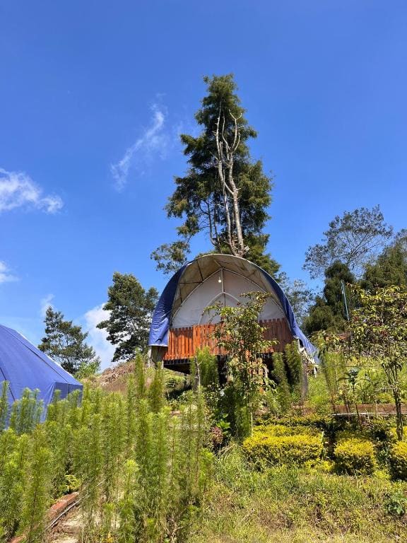 Dieng glamping syari'ah - View 6