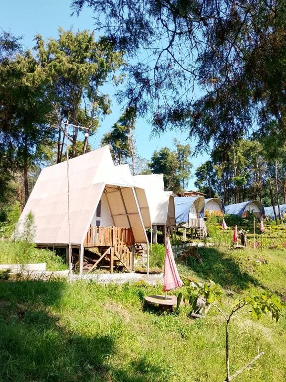 Dieng glamping syari'ah - Main view