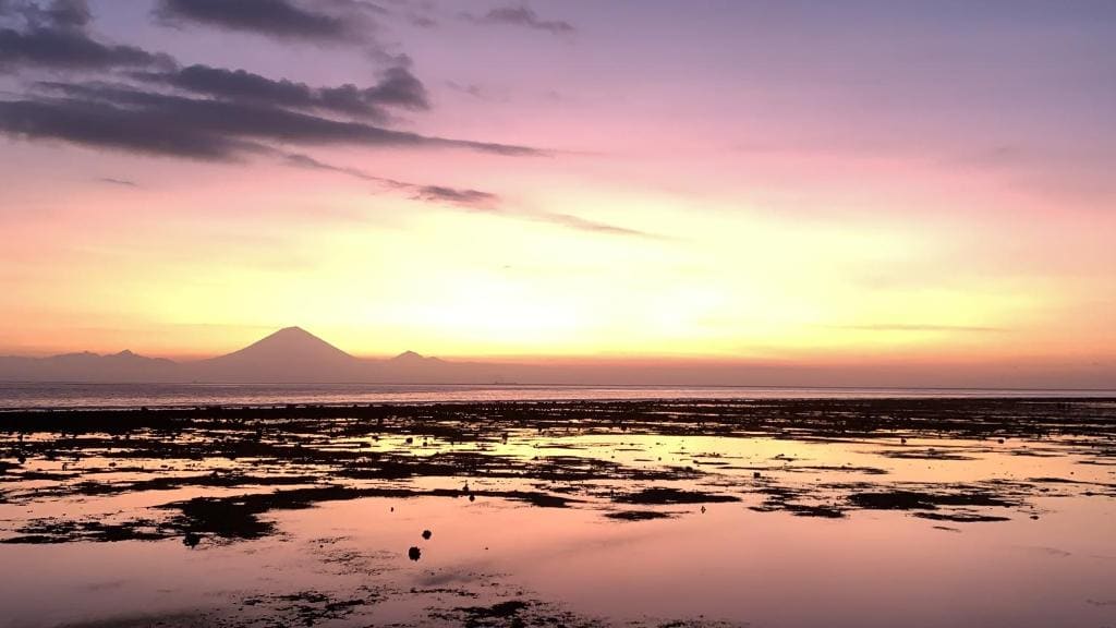 Gili Davidoff Skyline - View 6