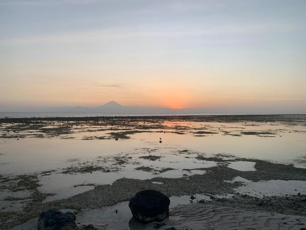 Gili Davidoff Skyline - View 7
