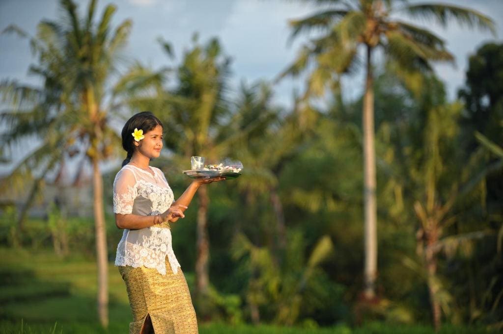 Jegeg Mas Ubud - View 7
