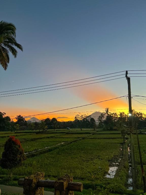 Lila Sari Guest House with breakfast - View 5