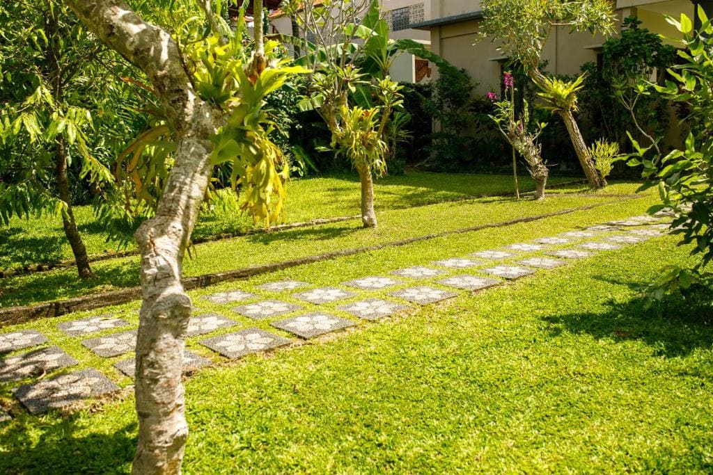 Mira Family Cottages - Vista 4