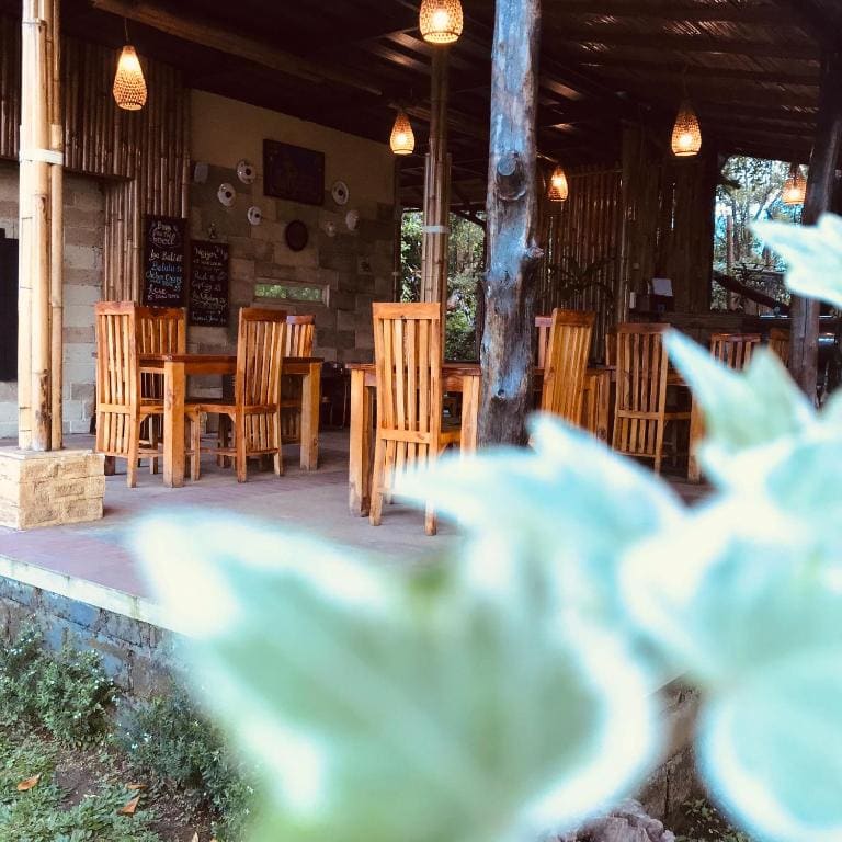 Munduk Clove - View 3