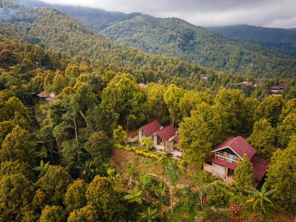 Munduk Clove - View 2
