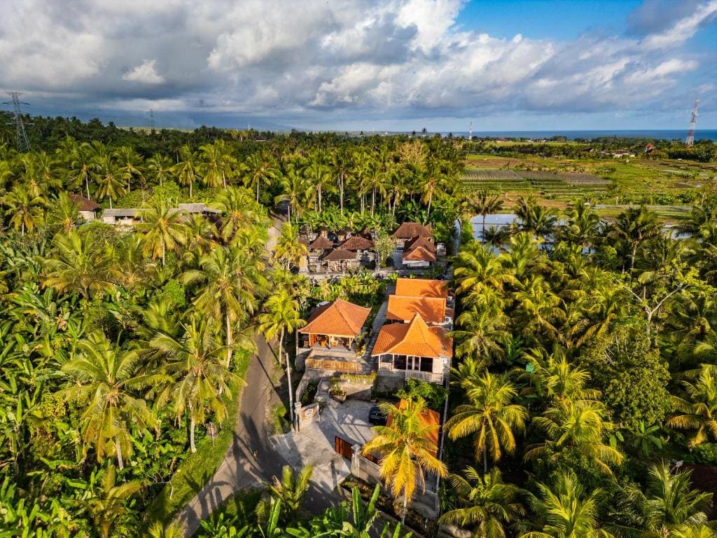 Omah Tiga, Yeh Embang, Jembrana - View 7