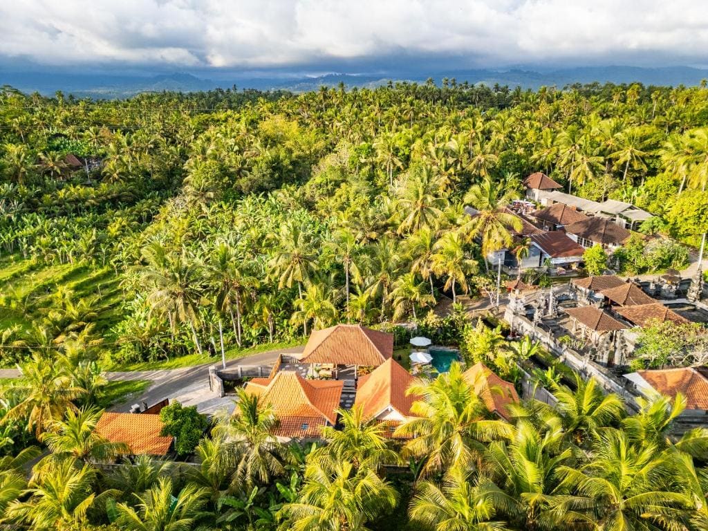 Omah Tiga, Yeh Embang, Jembrana - View 3