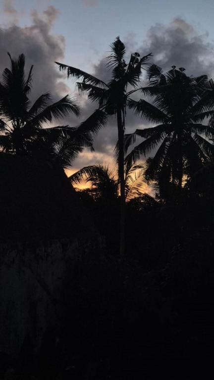 Prema Shiva Suites and Villas by EPS - Hoofdweergave