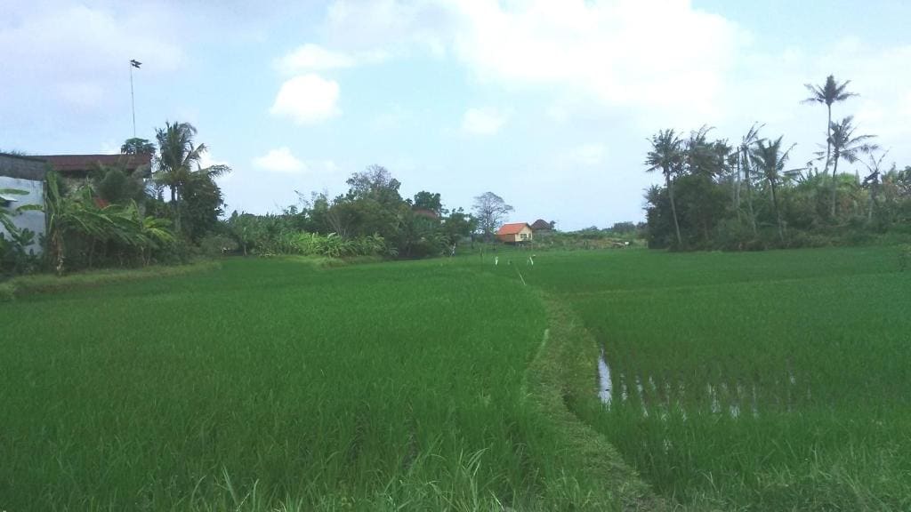 Sunari Guest House - View 4