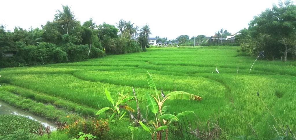 Sunari Guest House - Main view