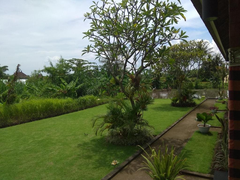Tamiu Guesthouse at Keramas, Near Keramas Surf Beach - View 7