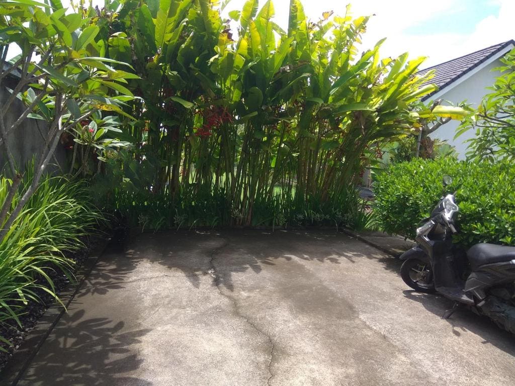 Tamiu Guesthouse at Keramas, Near Keramas Surf Beach - View 4