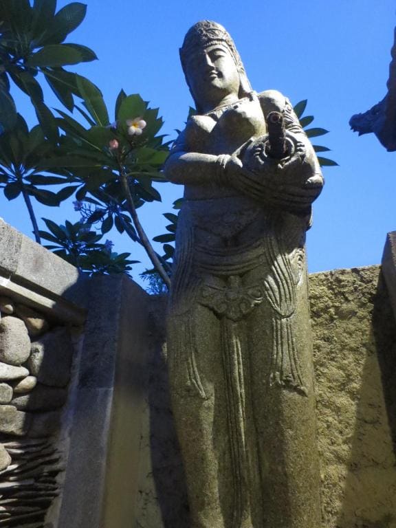 Taruna Boutique Homestay & Spa - View 5