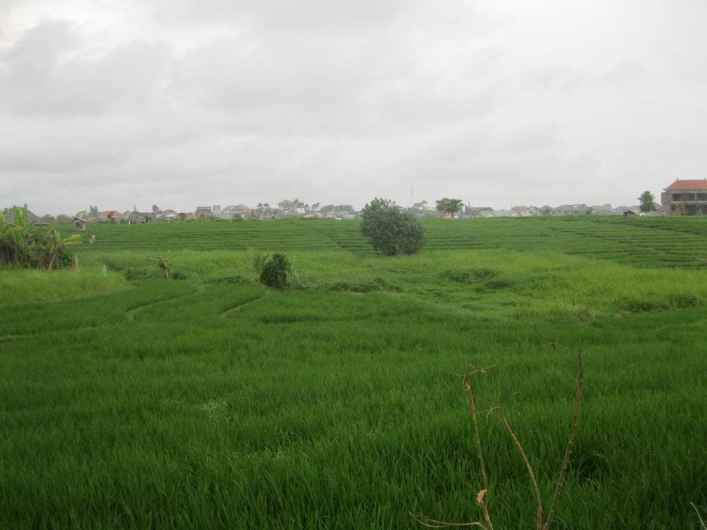Temuku Guest House - View 3
