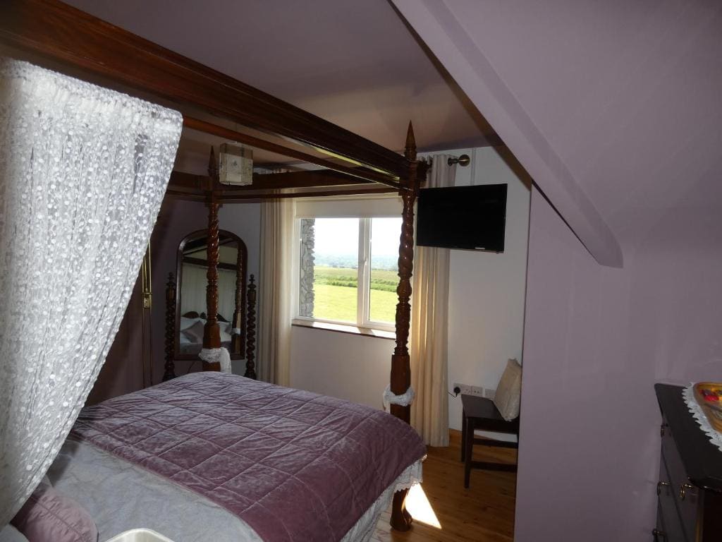 Aghadoe View Bed & Breakfast - 图片 2