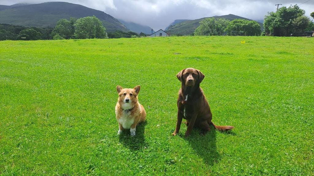 Inveraray Farm — главное фото